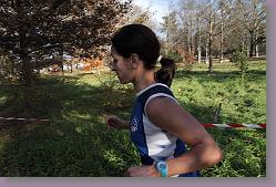 Begles 15.12.13 01 835 * 679 x 453 * (144KB)